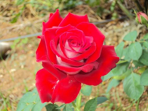 image014
