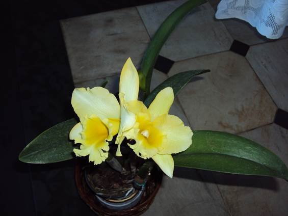 image034