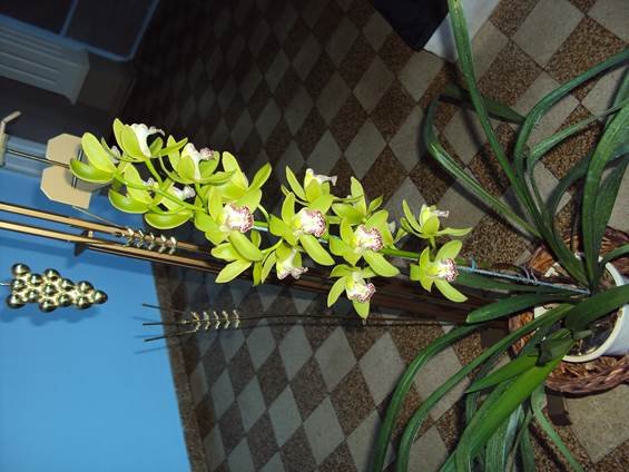image038