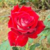 image014