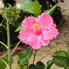 image024