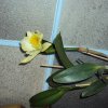 image032