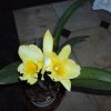 image034