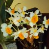 image044